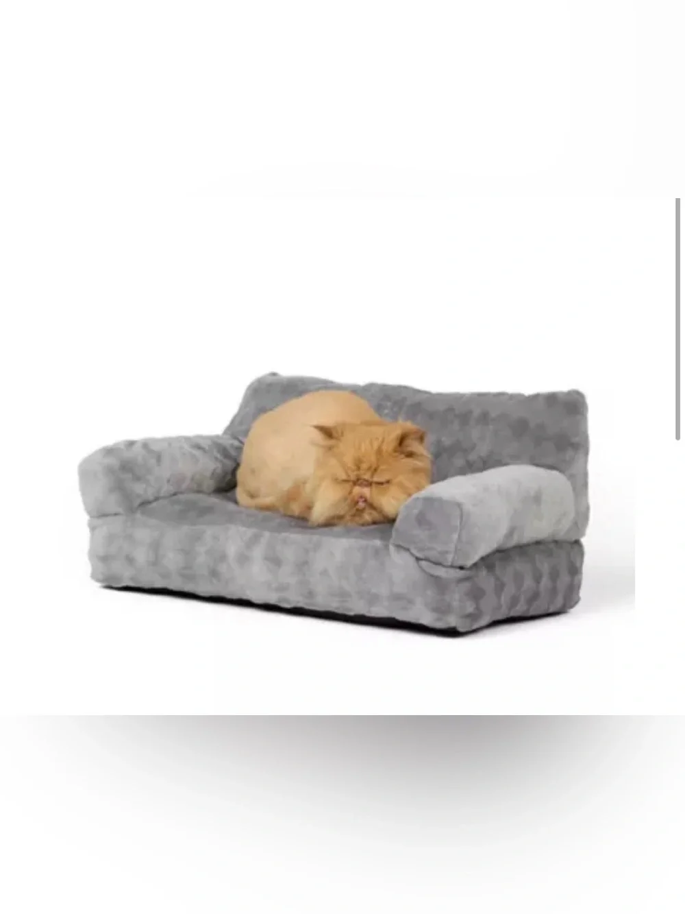 Whisker City® Grey Cat Couch Bed 21Lx12W